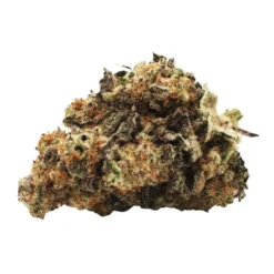 Citizen Stash MAC #1 New Arrivals