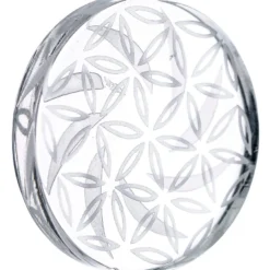 DankStop "Mandala Disk" Channel Carb Cap New Arrivals