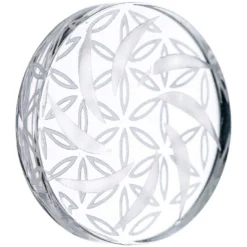 DankStop "Mandala Disk" Channel Carb Cap New Arrivals