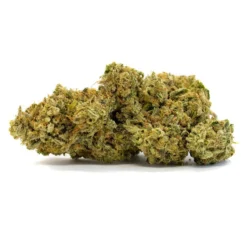 Greenade New Arrivals Mango Merengue