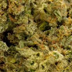 Greenade New Arrivals Mango Merengue