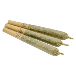 Marley Natural - CA Red Cannatonic 3 Pack Pre Roll (.5g) Pre-Rolls