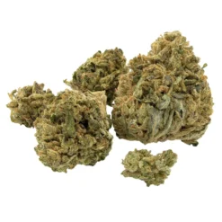 Marley Natural Marley Red New Arrivals 6 Marley Natural Marley Red New Arrivals