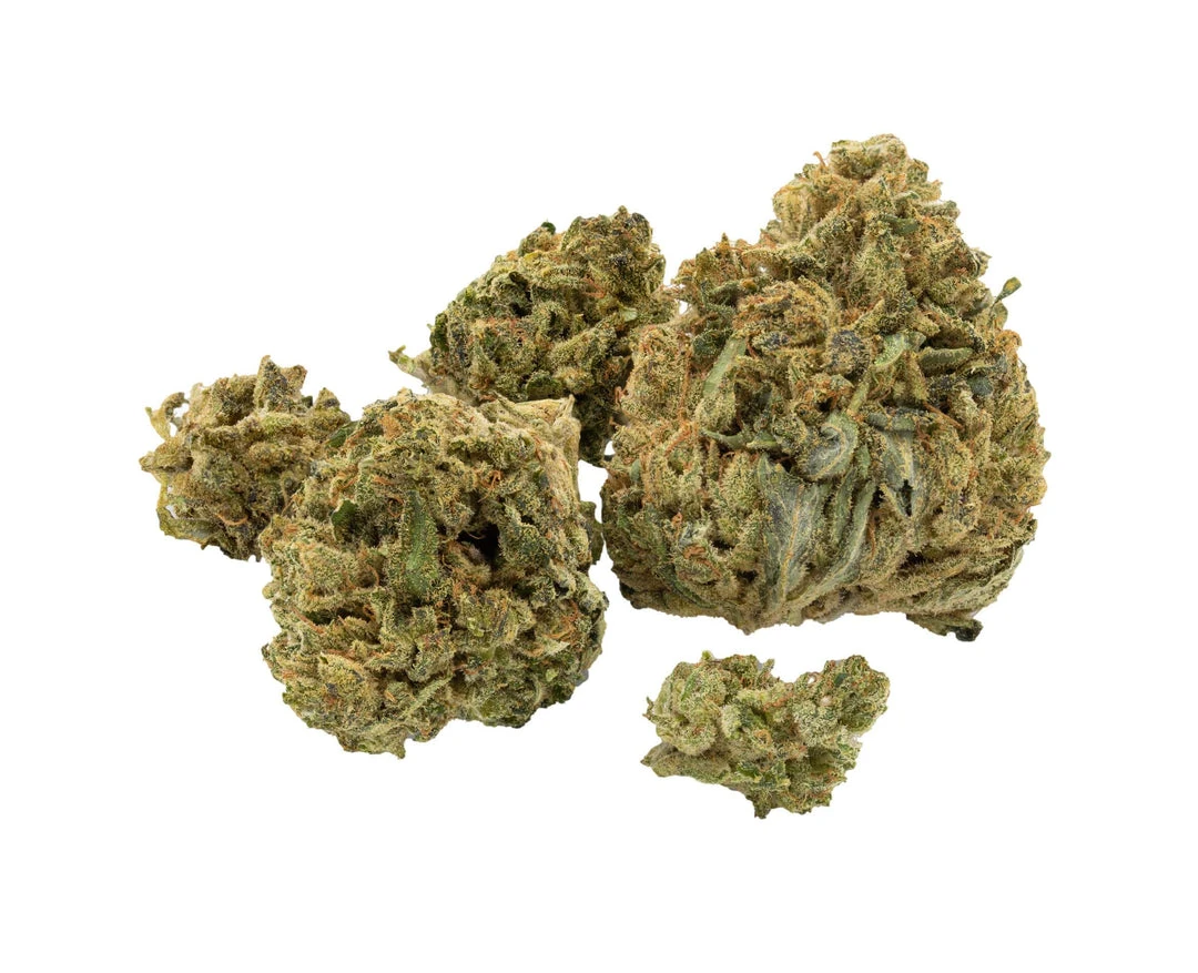 Marley Natural Marley Red New Arrivals 4 Marley Natural Marley Red New Arrivals