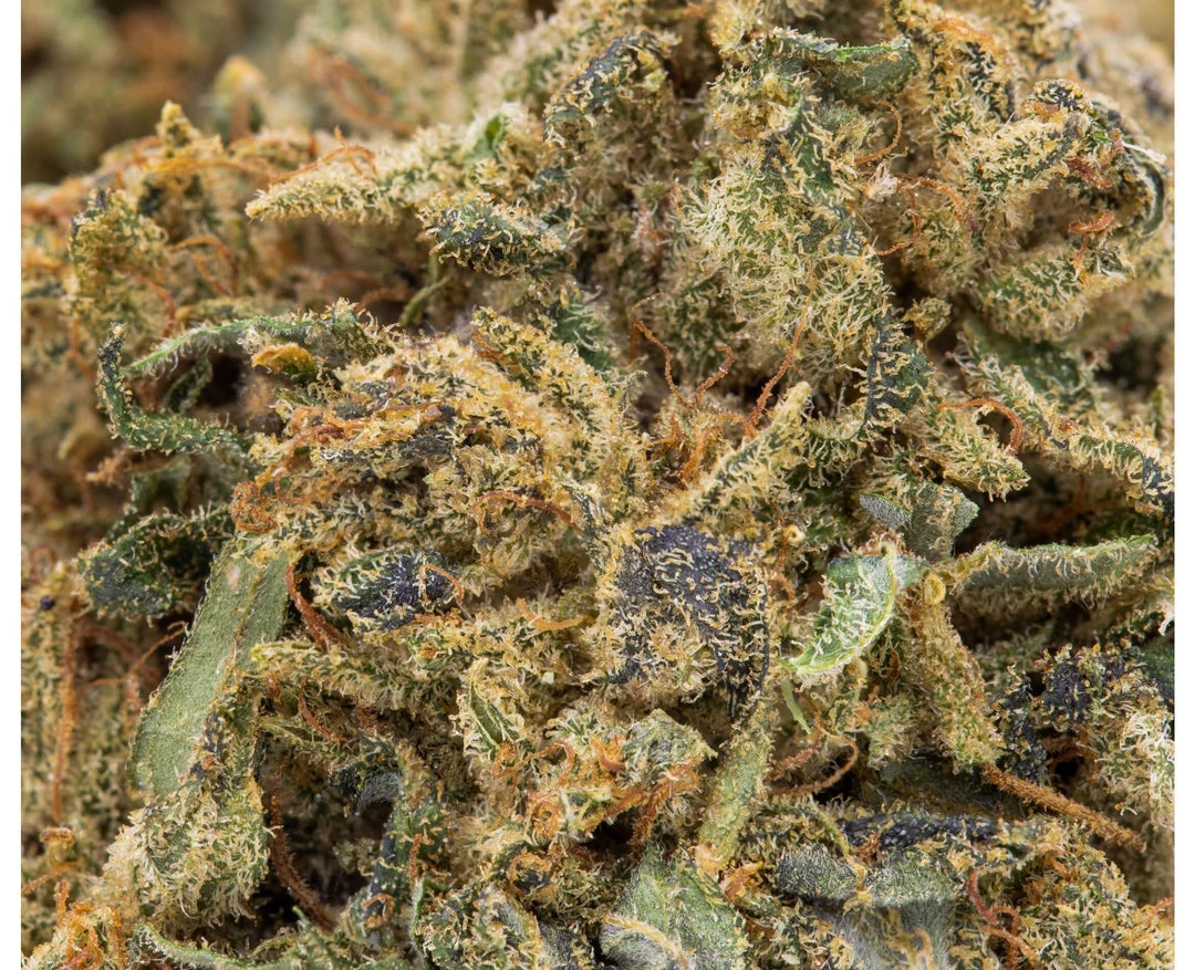 Marley Natural Marley Red New Arrivals 5 Marley Natural Marley Red New Arrivals