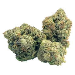 BC Black New Arrivals Master Kush Ultra Indica
