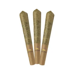 Weed Me Melon Gum PR 3 X 0.5 G Pre-Rolls