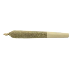 Coterie Pre-Rolls Mendo Breath PR 3 X 0.5 G