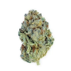 Highland Grow Mendo Sunset New Arrivals