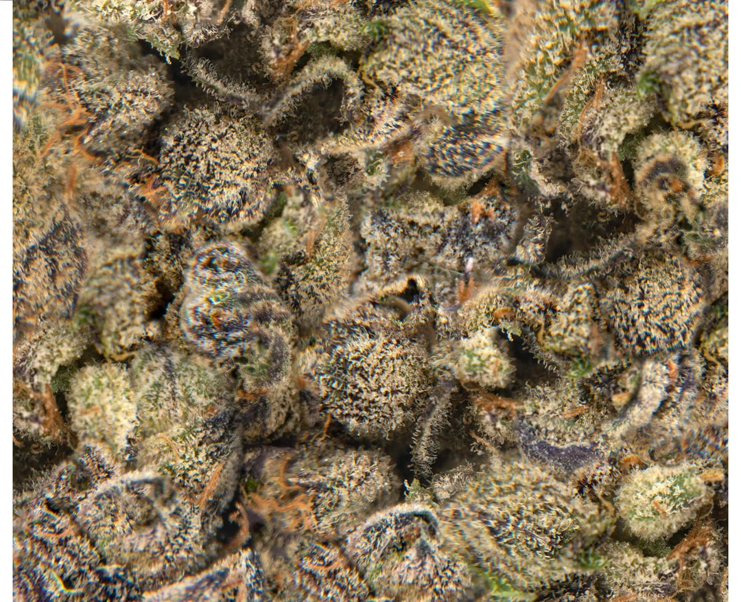 Flint & Embers Mint Sherbert New Arrivals 5 Flint & Embers Mint Sherbert New Arrivals