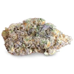 BC Black Miracle Valley - Landslide New Arrivals