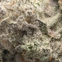 BC Black Miracle Valley - Landslide New Arrivals