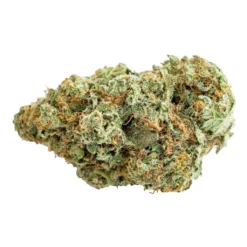 Skosha Mirage Plus New Arrivals