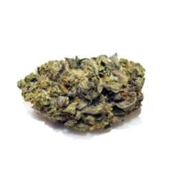 Aaron's BC Bud New Arrivals MK Ultra (Island OG)