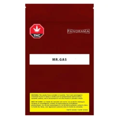 Panorama New Arrivals Mr. Gas 5 Panorama New Arrivals Mr. Gas