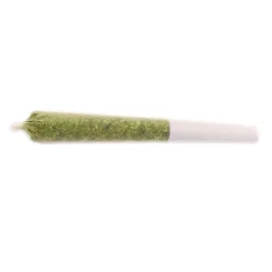 Msiku Gelatti PR 3 X 0.5 G Pre-Rolls