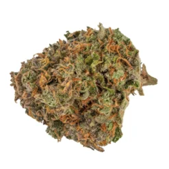 Muskoka Grown Blue Gorilla