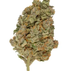 Muskoka Grown Glueberry OG New Arrivals
