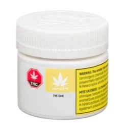 Namaste 24k Gold New Arrivals