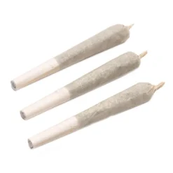 Namaste D. Bubba PR 3 X 0.5 G Pre-Rolls
