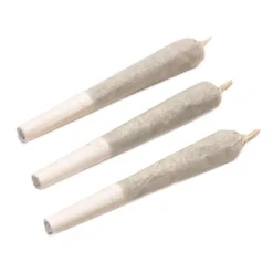 Namaste Lemon Zkttlz PR 3 X 0.5 G Pre-Rolls 7 Namaste Lemon Zkttlz PR 3 X 0.5 G Pre-Rolls