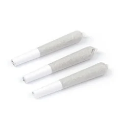 Pre-Rolls Natural History Crescendo 3 Pack Pre Roll (.5g)