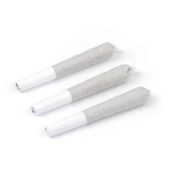Natural History Pre-Rolls Electric Lettuce PR 3 X 0.5 G