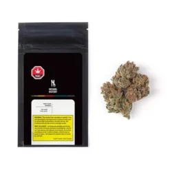 New Arrivals Natural History Fruit Cake