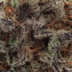 Natural History Meat Breath