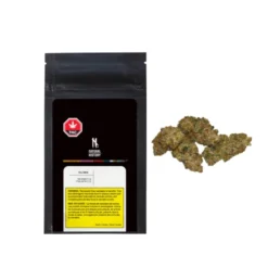 Natural History Tally Man New Arrivals