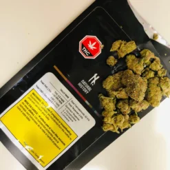 Natural History Tally Man New Arrivals 5 Natural History Tally Man New Arrivals