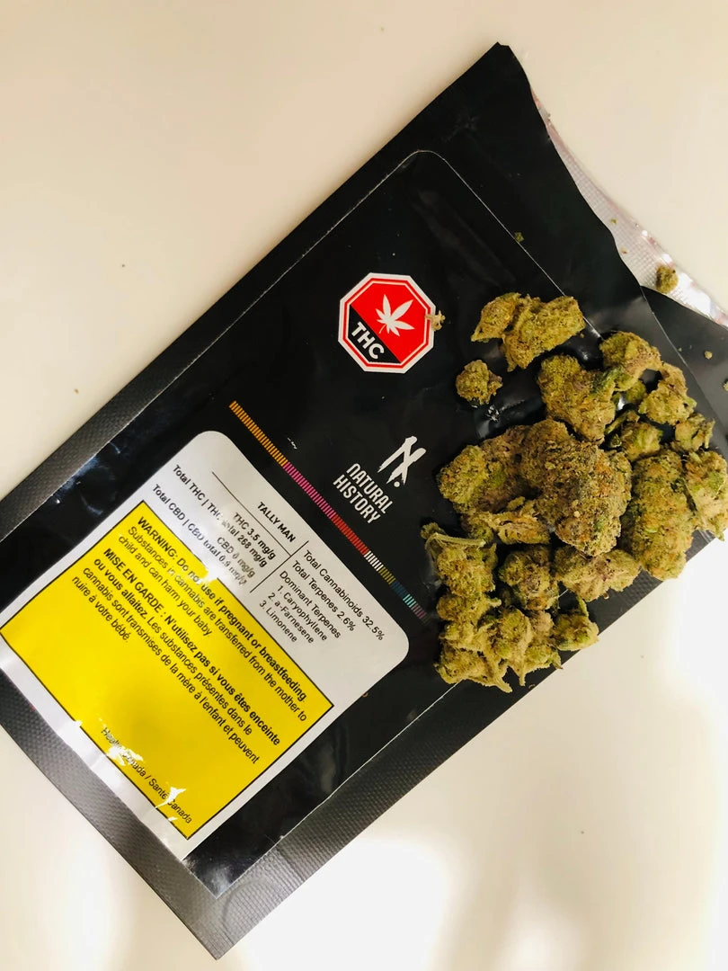 Natural History Tally Man New Arrivals 4 Natural History Tally Man New Arrivals