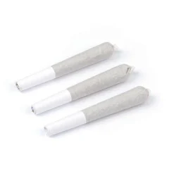 Natural History Zour Apples 3 Pack Pre Roll (.5g) Pre-Rolls