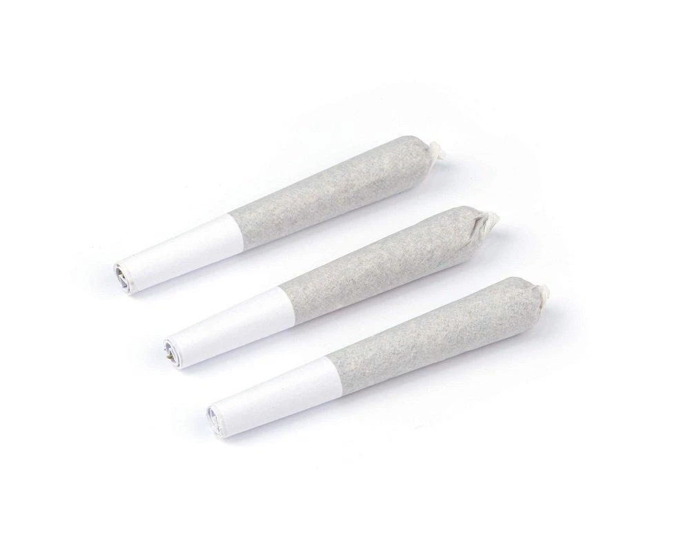 Natural History Zour Apples 3 Pack Pre Roll (.5g) Pre-Rolls 3 Natural History Zour Apples 3 Pack Pre Roll (.5g) Pre-Rolls
