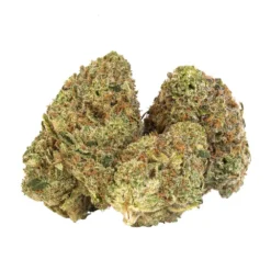 New Arrivals Ness Gelato Mint