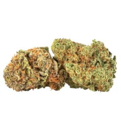 New Arrivals Ness Lemon Berry