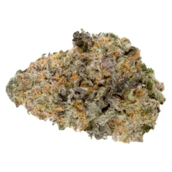 Weed Me New York 47 New Arrivals