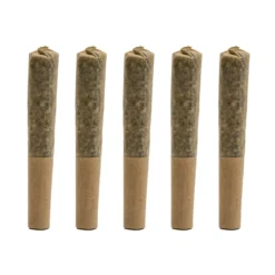 Boaz X Jane West Nighttime Mini-Joints PR 5 X 0.35 G Pre-Rolls