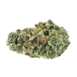 Haven St No. 425 Midnight Jam