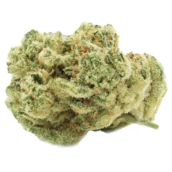 North Ouest Ginger Fizz