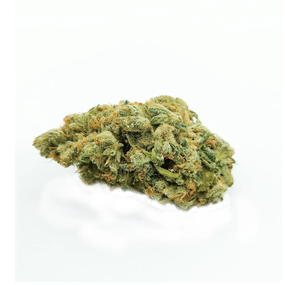North Ouest OG Kush 3 North Ouest OG Kush