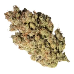 OGEN Bow Valley OG #26