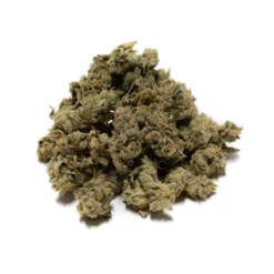 OGEN Codename: Pepper New Arrivals