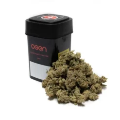 OGEN Codename: Pepper New Arrivals