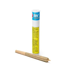 Liiv Orange Monkey PR 1 X 1 G