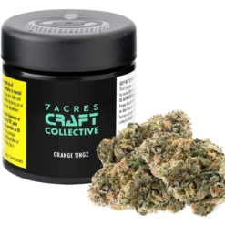 7ACRES New Arrivals Orange Tingz