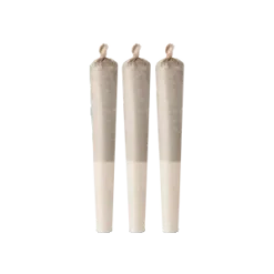 The Green Organic Dutchman Organic Sugar Bush PR 3 X 0.5 G 7 The Green Organic Dutchman Organic Sugar Bush PR 3 X 0.5 G