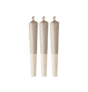 The Green Organic Dutchman Organic Sugar Bush PR 3 X 0.5 G 5 The Green Organic Dutchman Organic Sugar Bush PR 3 X 0.5 G