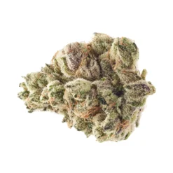 Original Stash OS.Garlic Jelly New Arrivals