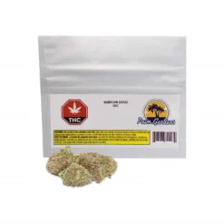 New Arrivals Palm Gardens Golden Sand Castles